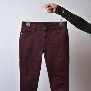 DL 1961 / DL1961 Jeans